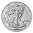 2025 American Silver Eagle MS-70 NGC (Early Releases)