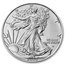 2025 American Silver Eagles (20-Coin MintDirect® Tube)