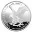 5 oz Silver Round - Walking Liberty