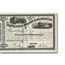 Cleveland & Toledo Railroad Company Stock Certificate