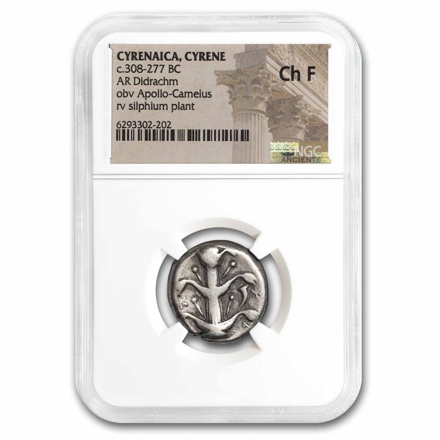 Cyrenaica, Cyrene AR Didrachm 308-277 BC Ch Fine NGC