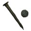 Judea Widows Mite & Roman Iron Nail 1st Century BC