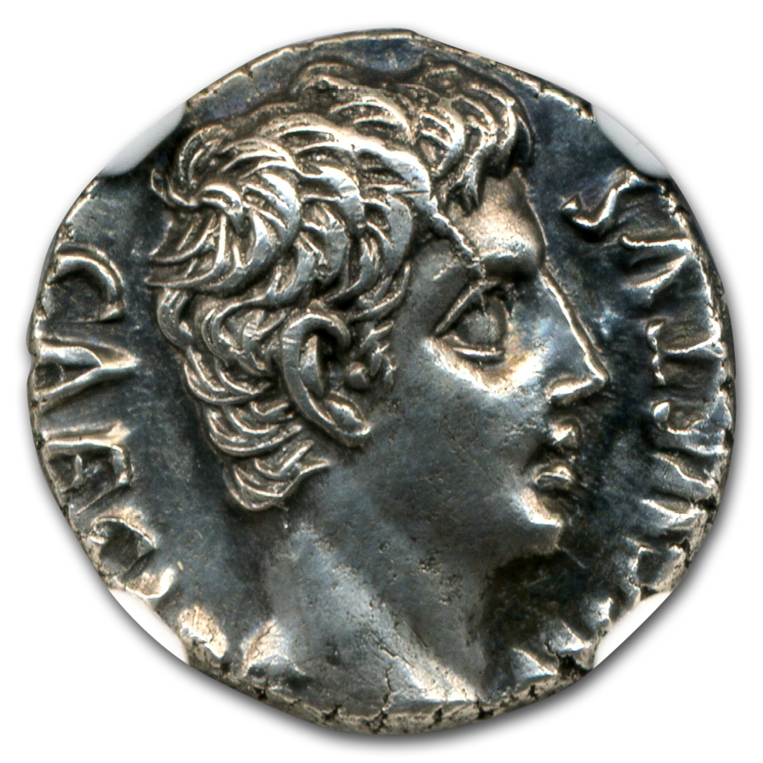 augustus denarius