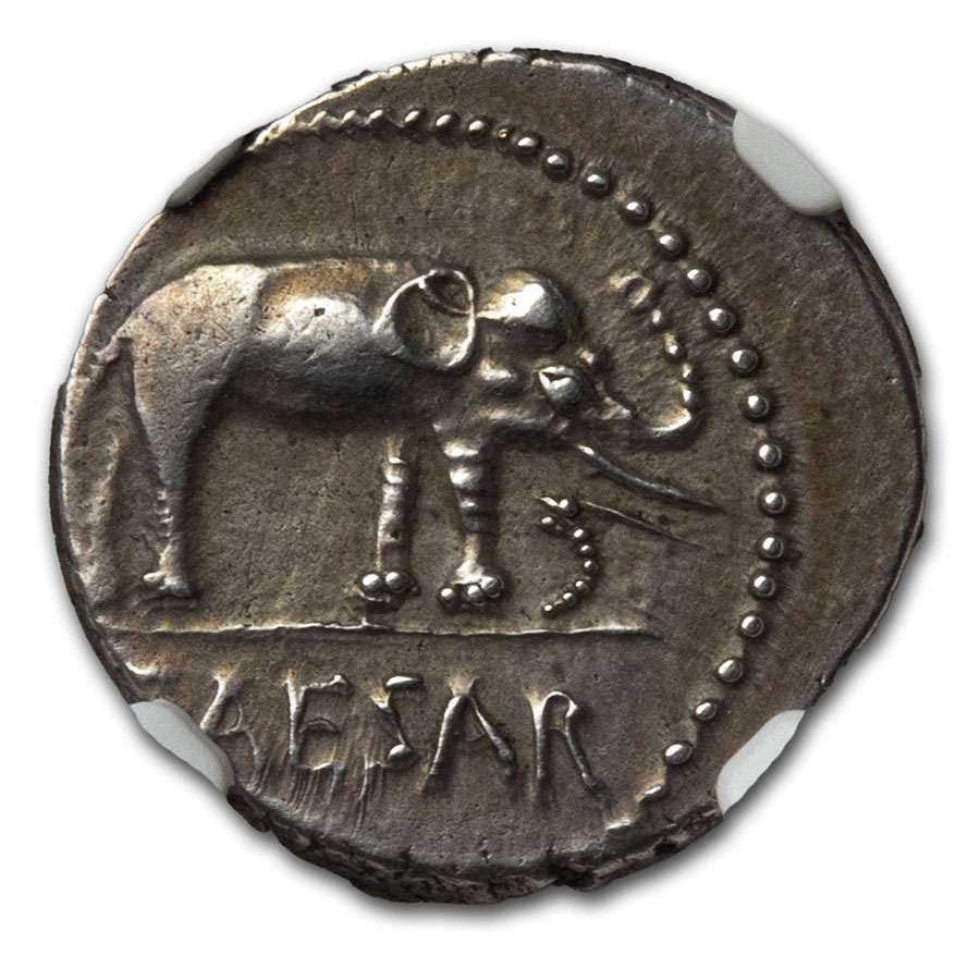 Buy Roman Silver Denarius Julius Caesar Elephant (49-48 BC) XF NGC | APMEX