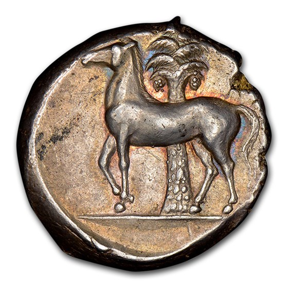 Buy Sicily, Carthage Silver Tetradrachm (350-315 BC) Ch XF NGC | APMEX